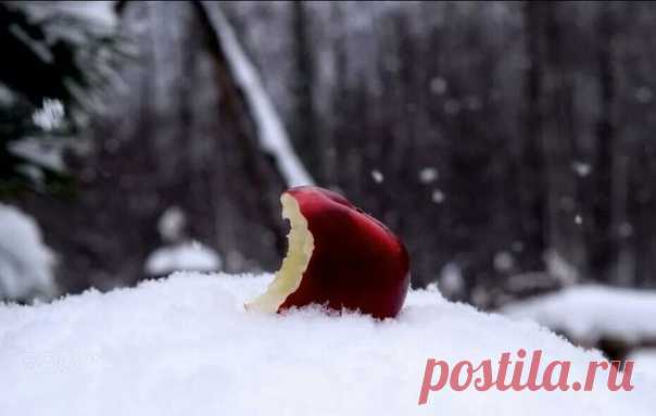 — Жила-была принцесса.
— Это ты была?
— К ней пришла любовь....
— И давно пришла?
— Нет-нет! Совсем недавно. Но зато навек! Принц такой прекрасный добрый человек.
— Какой он? Он большой, красивый?
— Он высок? Силён?
— На всём белом свете нет таких, как он...
— Он признался сразу или ты ждала?
— Я ему навеки сердце отдала.