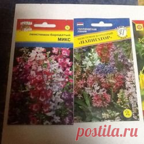 Семена многолетних цветов, которые Кукарача будет сеять в новом 2016 году: Группа Клумбы и цветники