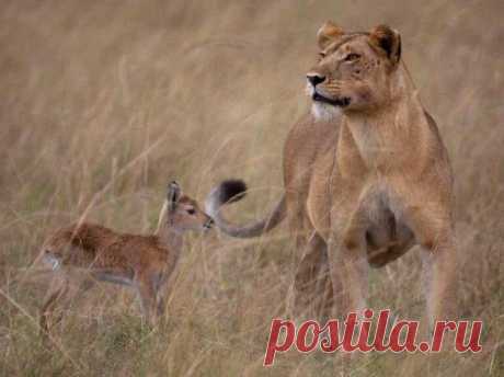 Мамы, которым в роддоме подменили детей