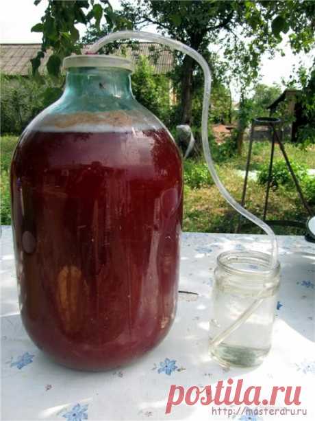 КАК СДЕЛАТЬ ВИНО ИЗ...