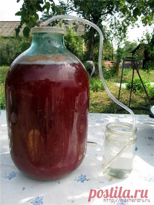 КАК СДЕЛАТЬ ВИНО ИЗ...