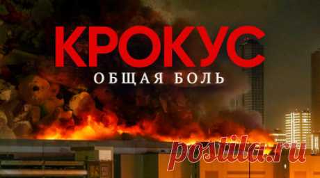«Крокус. Общая боль»: премьера фильма RT. В день теракта в «Крокус Сити Холле» 16-летний Александр Журик работал в гардеробе. Услышав выстрелы, он не растерялся и вывел зрителей через служебный выход на улицу. «Я обернулся, увидел людей, которые находились рядом со мной, и всем крикнул: «За мной!» — рассказывает подросток. Фильм RT именно о таких героях: врачах, таксистах, волонтёрах, сотрудниках концертного зала. Их неравнодушие и профессионализм спасли жизнь многим людям во время теракта и…