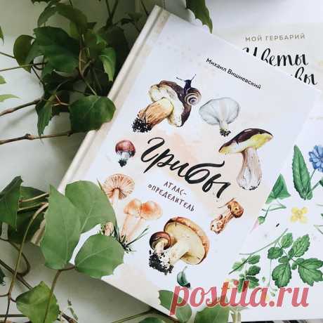 «Грибы» — атлас определитель для детей от известного ученого-миколога Михаила Вишневского Вроде бы все знают, что такое грибы. Но как только мы попытаемся найти общее между подосиновиком и плесенью, сразу же возникнут трудности. Эта книга поможет разобраться в этом сложном вопросе даже маленьким детям. В книге рассказывается все, что нужно знать о грибах: что это такое, какими они бывают, откуда произошли, какую роль играют в современной экосистеме, какие животные ими питаются, а также: какие…