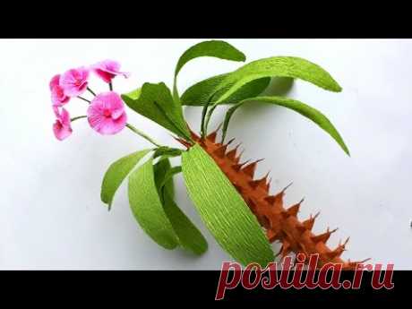 DIY   How to make Euphorbia milii Flower by crepe paper   Làm hoa bát tiên giấy nhún