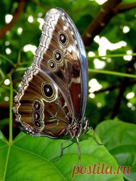 Фото Без названия. Альбом Фото группы - 19347 фото. Фотографии Животные рядом.