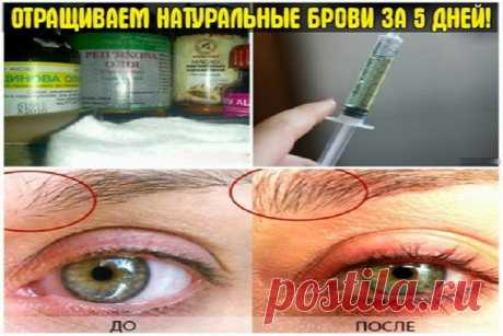 Всё самое интересное!: ОТРАЩИВАЕМ НАТУРАЛЬНЫЕ БРОВИ ЗА 5 ДНЕЙ!