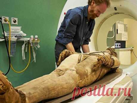 Томография раскрывает тайны мумий | Исторический дискуссионный