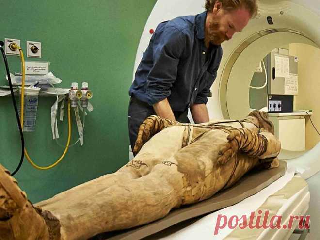 Томография раскрывает тайны мумий | Исторический дискуссионный