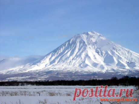 фото с камчатки природа - Поиск в Google