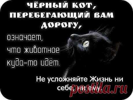 Муррр
