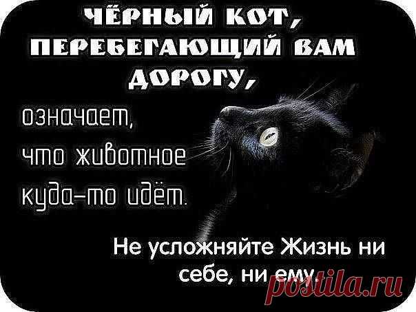Муррр
