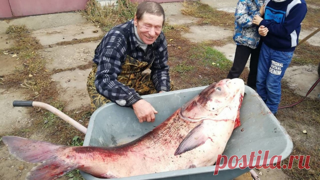 В РЯЗАНСКОМ РАЙОНЕ ПОЙМАЛИ РЫБУ ВЕСОМ В 49 КИЛОГРАММОВ Настоящую царь-рыбу выудил из Оки житель Полян Алексей Макаров. Мужчина, рыбак с солидным стажем, мирно предавался своему хобби близ Заокского, где и попался ему великан-толстолобик. – Такое раз в жизни бывает! – не смог удержаться от эмоций Алексей...