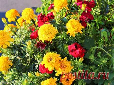 Доброй и солнечной всем субботы! Яркого и радостного выходного дня)))😊❤💛💚🌺