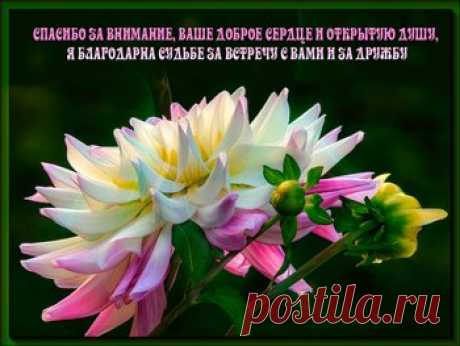Открытки спасибо за ... дружбу, доброе сердце, поздравления - cтраница 7
