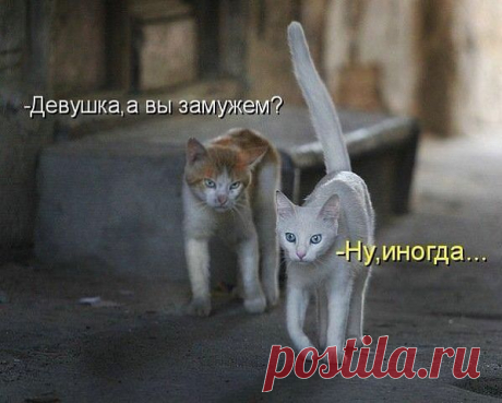 (27) Одноклассники