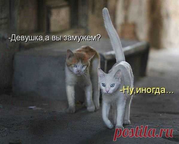 (27) Одноклассники