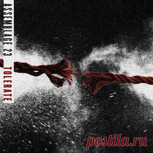 Assemblage 23 - Tolerate (2025) [Single] Artist: Assemblage 23 Album: Tolerate Year: 2025 Country: USA Style: Futurepop, Synthpop, EBM