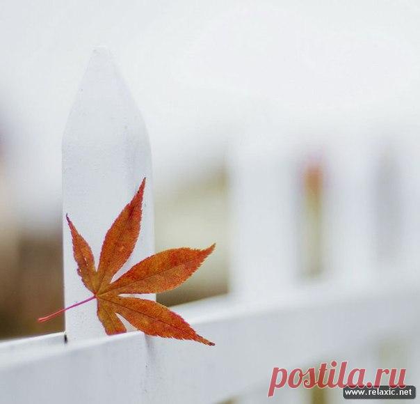 КАКОЙ СЕГОДНЯ ПРАЗДНИК? 12 Ноября 2017 г. – Воскресенье • Всемирный день борьбы с пневмонией • День специалиста по безопасности12 лет • День видимого дыхания на холоде • День банковского работника Сбербанка России • День творческих осуществлений • Синичкин день • День профсоюзного работника Республики Башкортостан • День отца - Эстония • День Конституции - Азербайджан • Именины у Артема, Анастасии, Степана, Елены, Александра, Максима • Зиновий и Зиновия