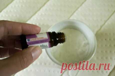 Крутые лайфхаки для самой ленивой уборки Все любят, чтобы дома было чисто и красиво, но от уборки мало кто получает удовольствие. Лучше же провести вечер за любимым делом, а не оттирая микроволновку. Представляем вам подборку крутых лайфхаков для самой ленивой уборки.