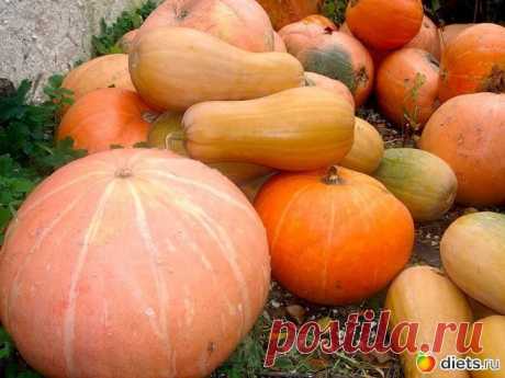 БЛЮДА ИЗ ТЫКВЫ. 20 РЕЦЕПТОВ.: : Дневники - diets.ru