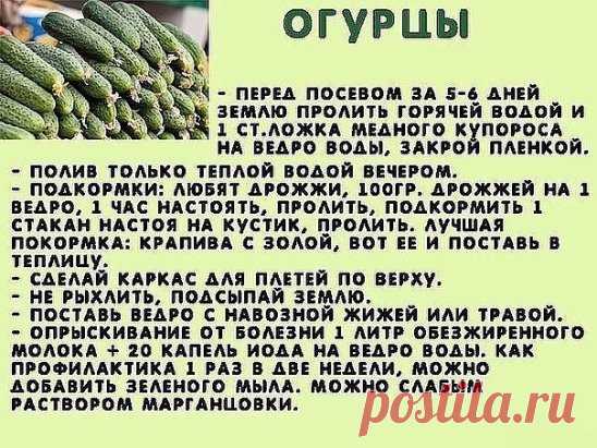 БЕРЁМ НА ЗАМЕТКУ!