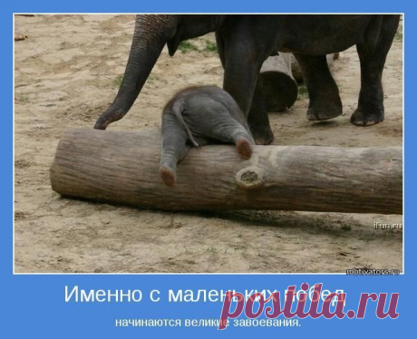 фото - 17 фото. Сообщество ДОБЕЙСЯ УСПЕХА!!! - группы Мой Мир.