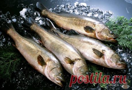 Как вкусно приготовить рыбу минтай на сковороде