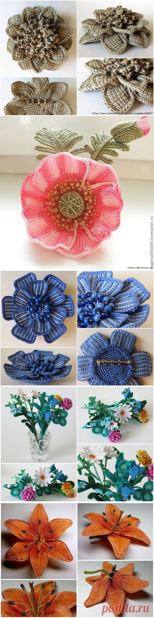 цветы от Ксении | Записи в рубрике цветы от Ксении | Дневник домоправительницы