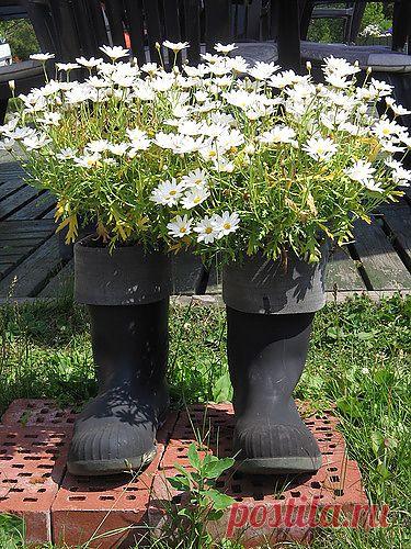 забавный букет