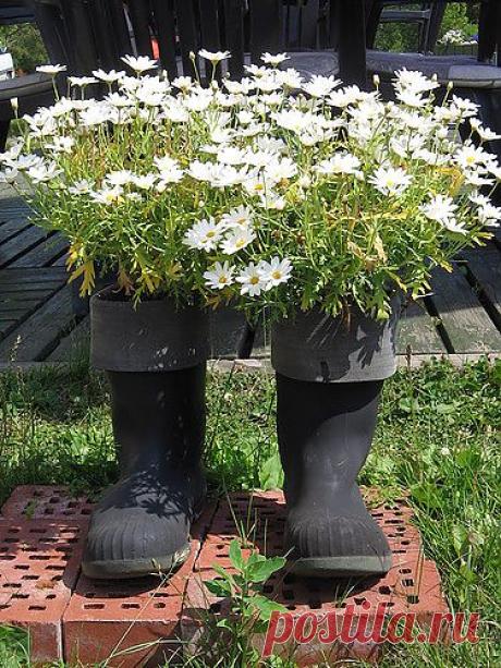 забавный букет