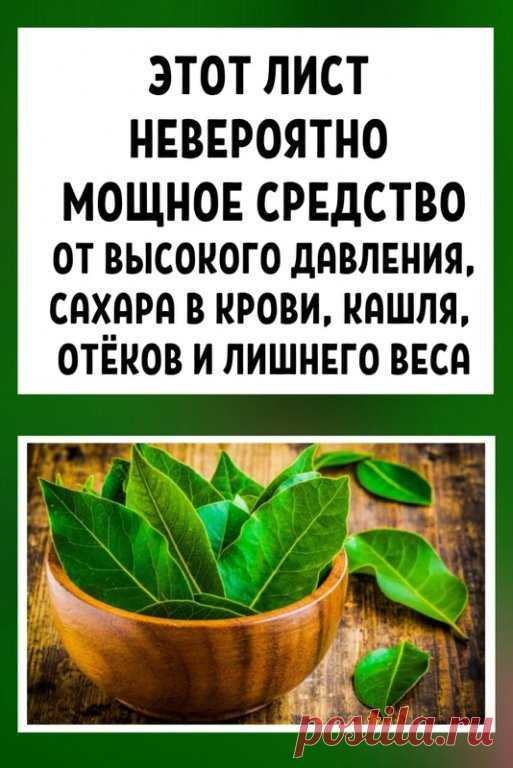 Этот лист — невероятно мощное средство от высокого давления, сахара в крови, кашля, отёков и лишнего веса! 
 
Эти рецепты удивительно эффективны! Сохраните себе, они точно вам пригодятся! 
 
Листья этого растения широко используется в кулинарии из-за его замечательного аромата. 
 
Но лавр — не просто приправа — это также лекарственное растение, используемое при лечении различных заболеваний. 
 
Это отличное мочегонное, противоревматическое, противовоспалительное средство, ...
