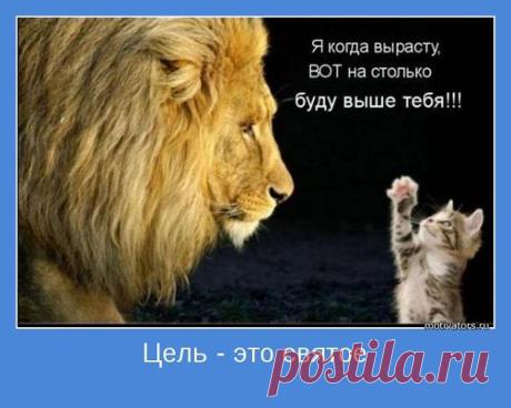 Интересные новости