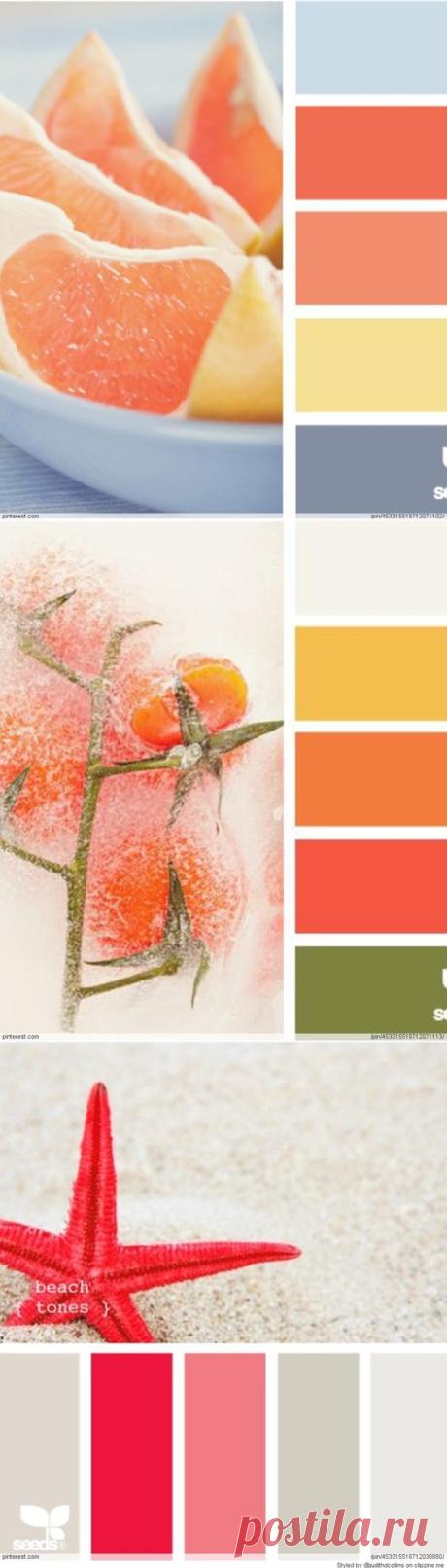 Pinterest: scopri e salva idee creative