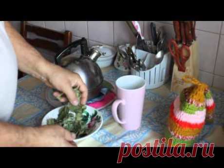 Манжетка.Снижение сахара. - YouTube