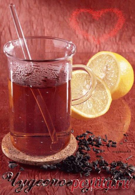 Живые фотографии – Сообщество – Google+