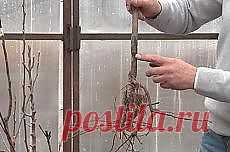 Письмо «DIY Stylish Skirts DIY Projects | UsefulDIY.com и другие материалы. Новое в Вашей подборке на Постила.ru» — Постила.ru — Яндекс.Почта