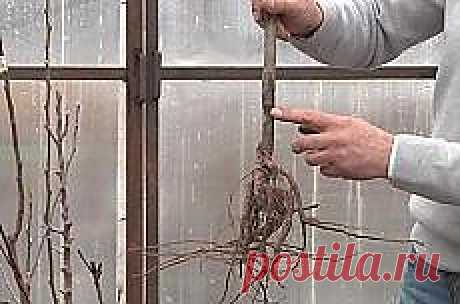 Письмо «DIY Stylish Skirts DIY Projects | UsefulDIY.com и другие материалы. Новое в Вашей подборке на Постила.ru» — Постила.ru — Яндекс.Почта