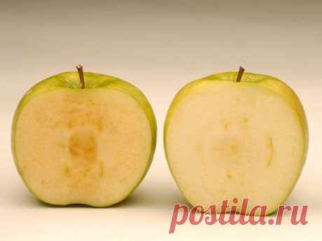 ГМО-продукты и генетические эксперименты&amp;nbsp; &amp;nbsp;Выживи сам