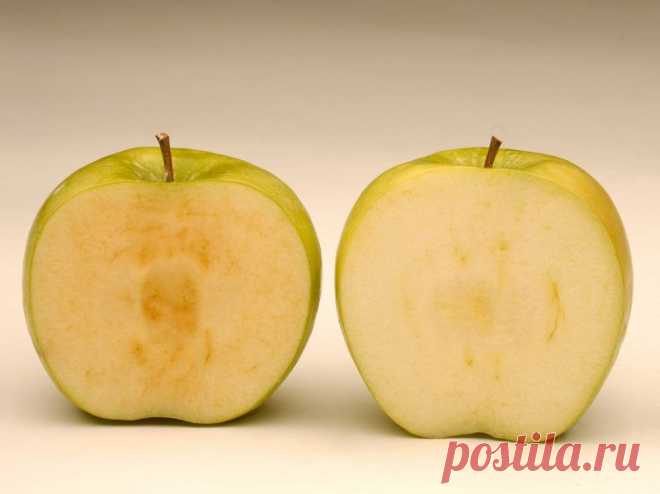 ГМО-продукты и генетические эксперименты&nbsp; &nbsp;Выживи сам