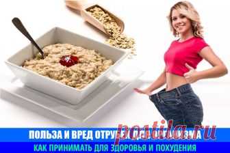 Польза и вред отрубей для организма. Как принимать для здоровья и похудения | Полезные советы