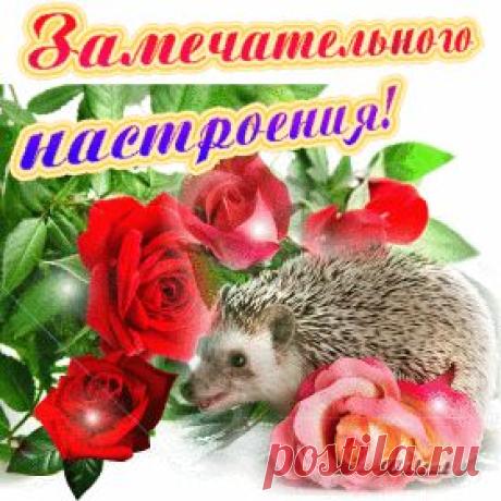 Мой Мир@Mail.Ru