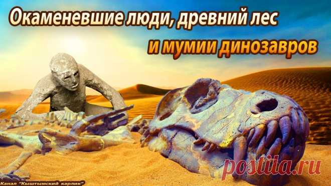Окаменевшие люди, древний лес и мумии динозавров.