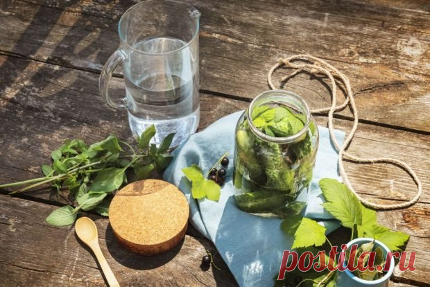 Огурцы с черной смородиной на зиму — Домашняя кулинария