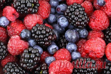 Фрукты с низким содержанием углеводов ~ SLOVESA - журнал о развитии