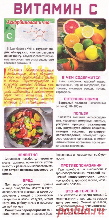 Витамин С в организме человека