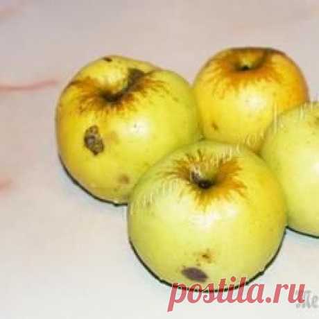 Янтарное варенье из Антоновки. - bondarevati@mail.ru - Почта Mail.Ru