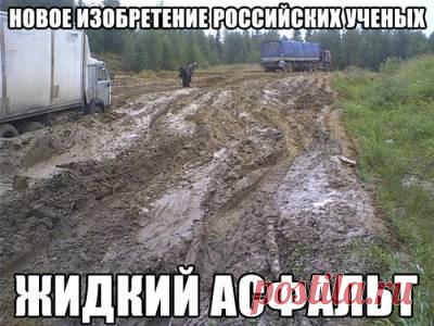 Только смешные фото из жизни людей и других животных