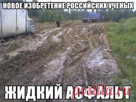 Только смешные фото из жизни людей и других животных