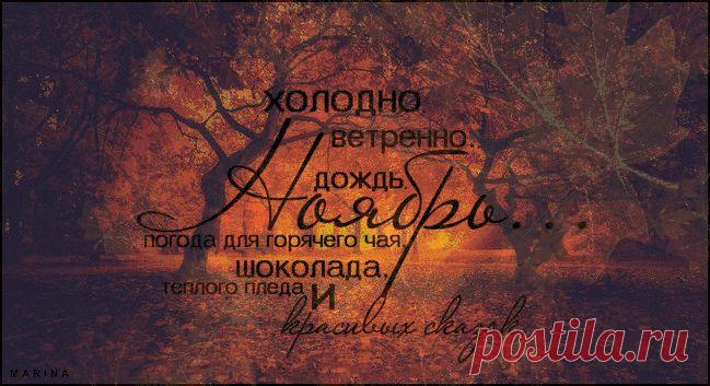 Яндекс.Фотки