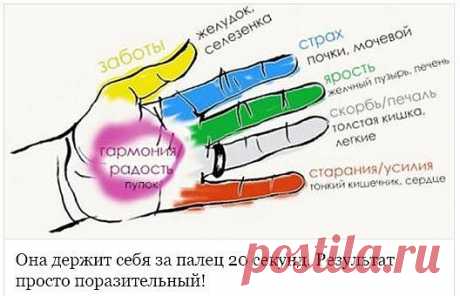 Поможем себе и своему организму